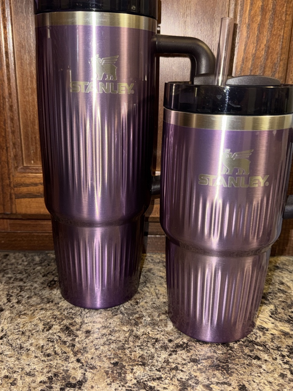 Stanley Metallic Purple Insulated Travel Mugs (Set of 2)